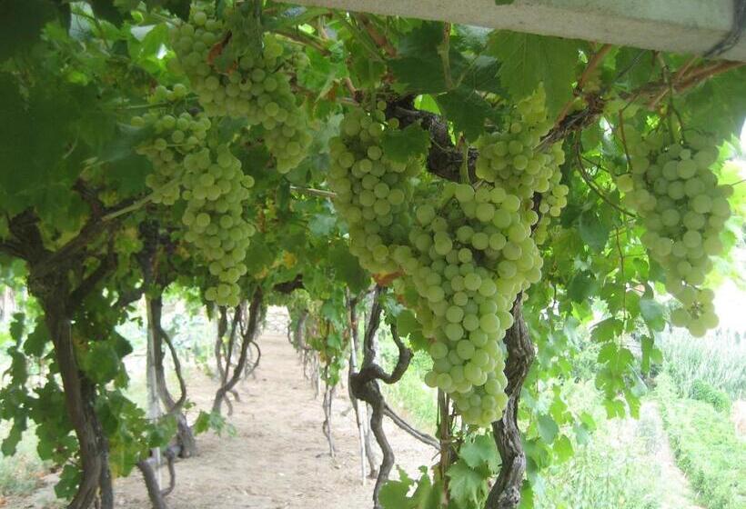 بنسيون Casa Do Escoivo