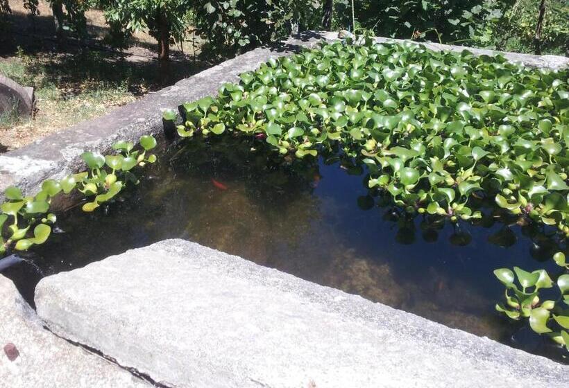 بنسيون Casa Do Escoivo