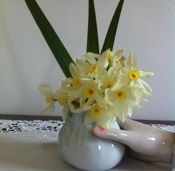 بنسيون Casa Do Escoivo