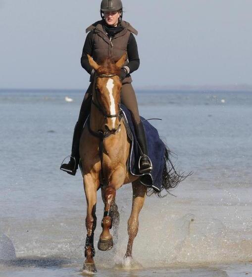 ペンション Reitanlage Plath