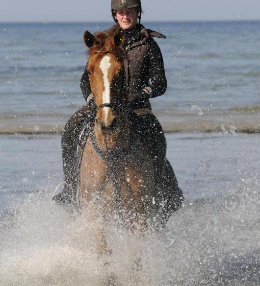 ペンション Reitanlage Plath