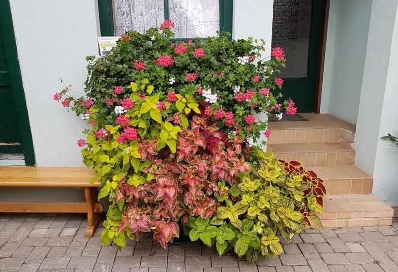 膳宿费 Weingut Familie Bauer