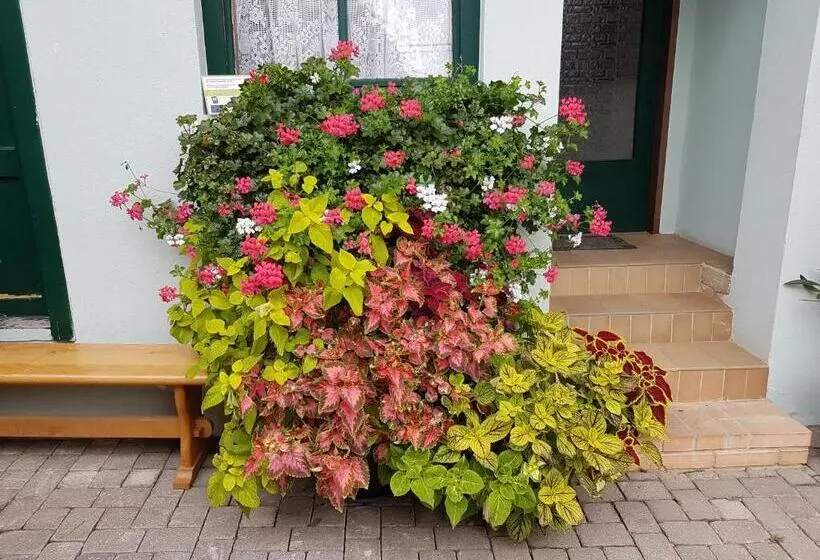 Majatalo Weingut Familie Bauer