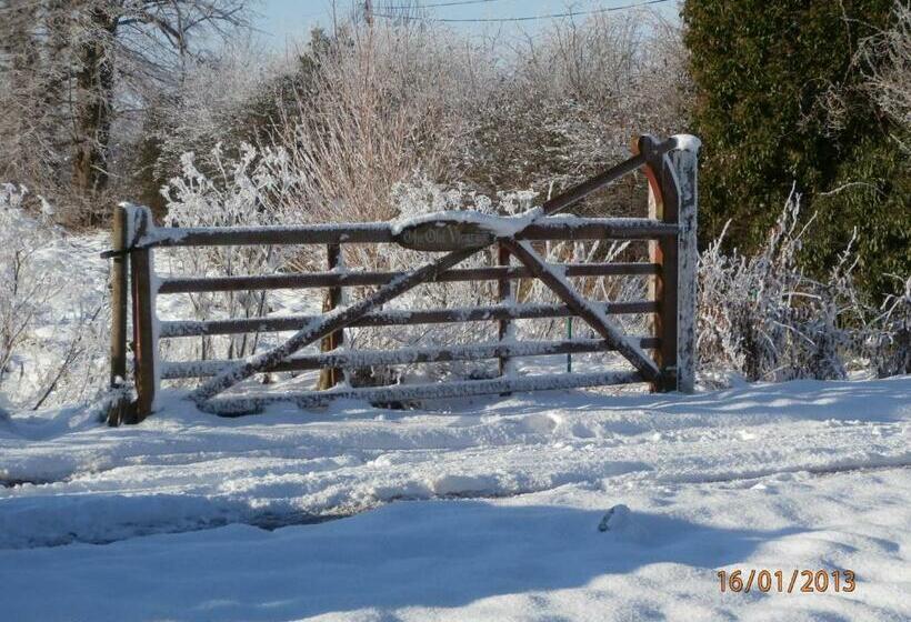 The Old Vicarage Bed And Breakfast