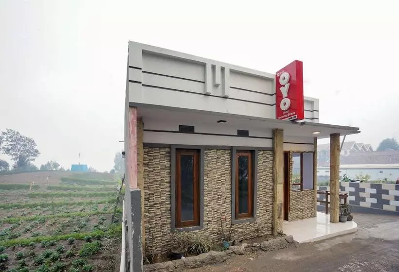 ユースホステル Pieter Homestay Bromo By Oyo Rooms