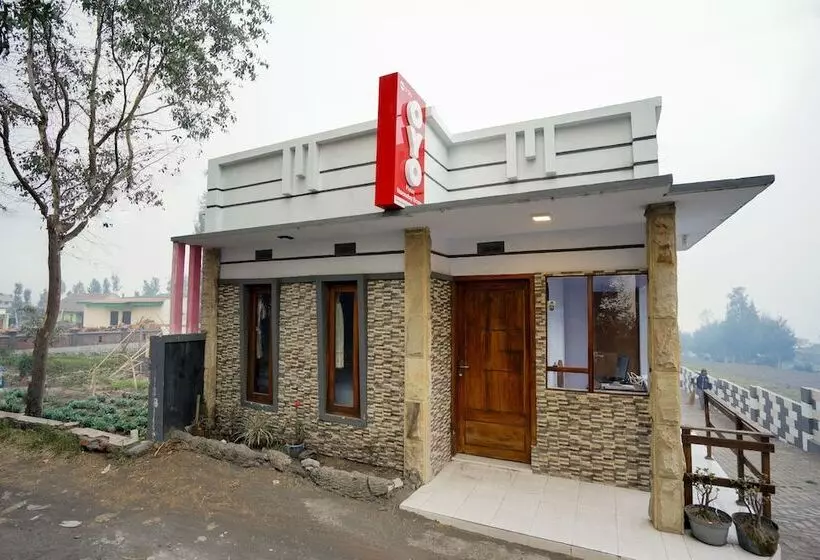 ユースホステル Pieter Homestay Bromo By Oyo Rooms