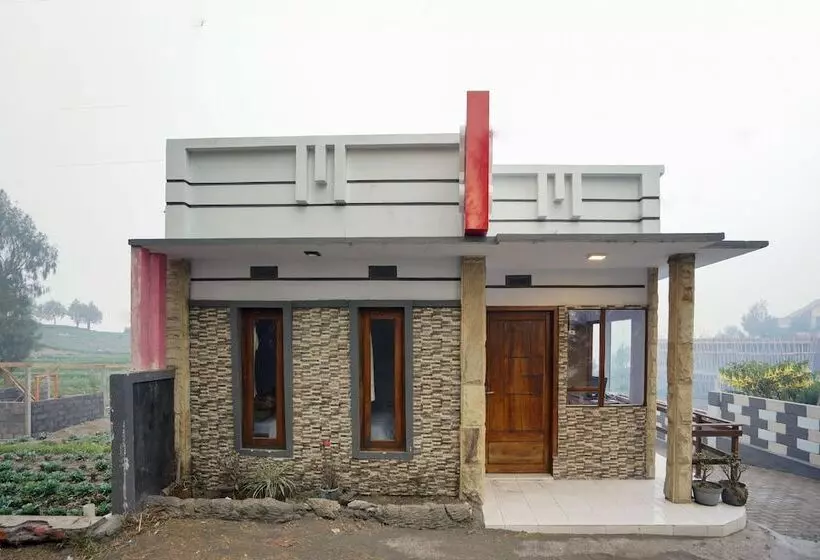 ユースホステル Pieter Homestay Bromo By Oyo Rooms