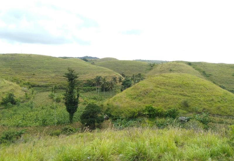 Bed and Breakfast Dungkap Mount View