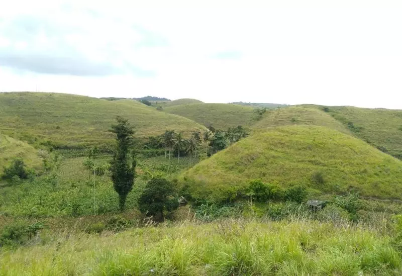 ベッドアンドブレックファースト Dungkap Mount View