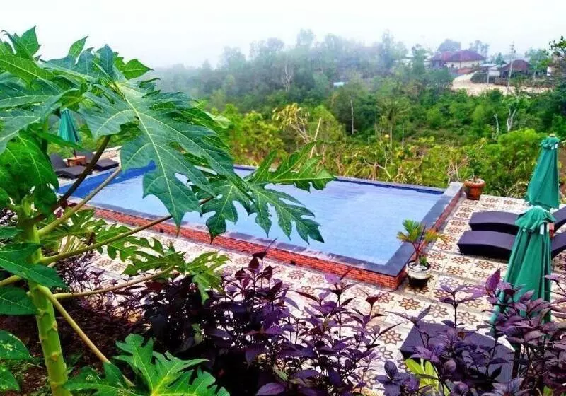 ベッドアンドブレックファースト Dungkap Mount View