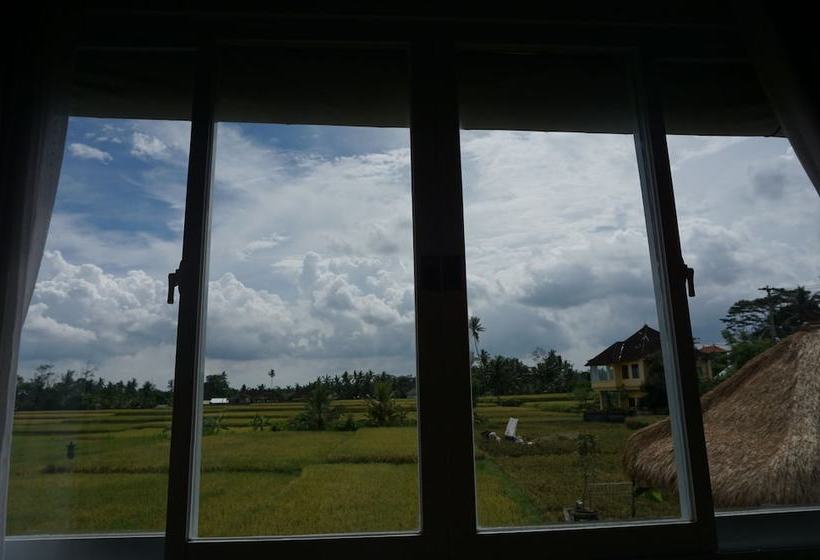 住宿加早餐 Kubu Sari House