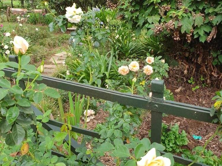 Piccadilly Farm Cottages