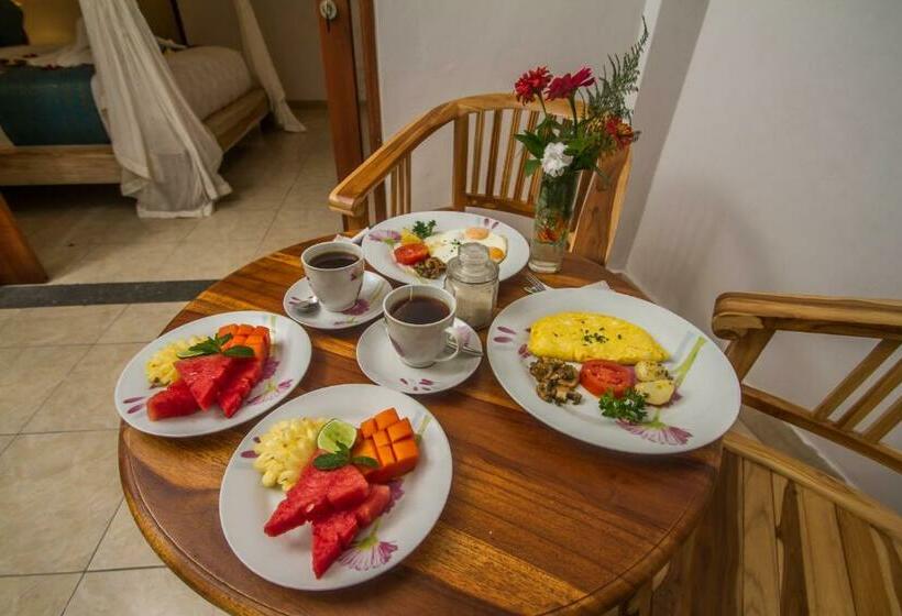 Bed and Breakfast Akusara House