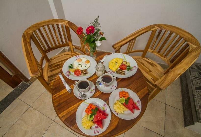 Bed and Breakfast Akusara House