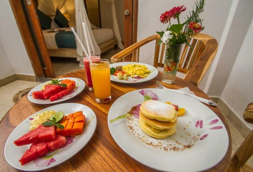 Bed and Breakfast Akusara House