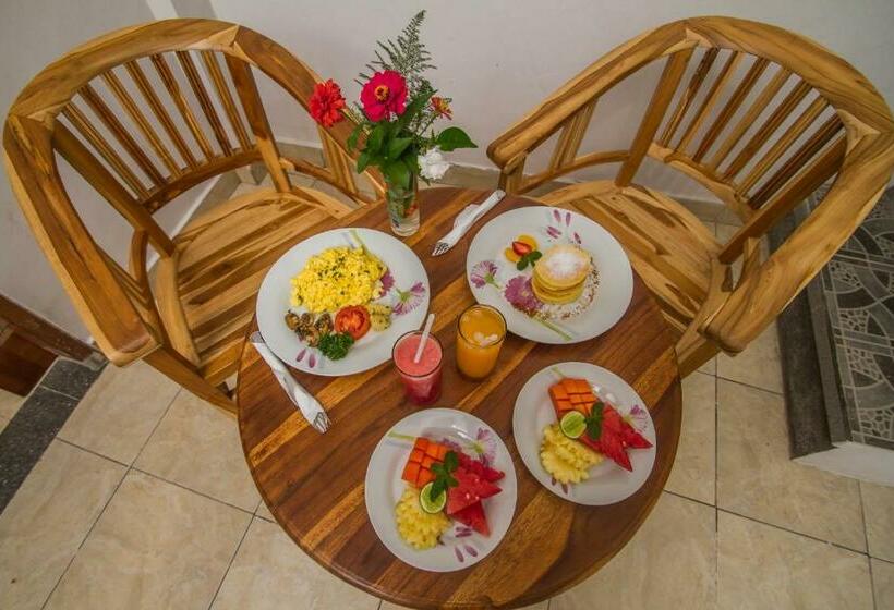 Bed and Breakfast Akusara House