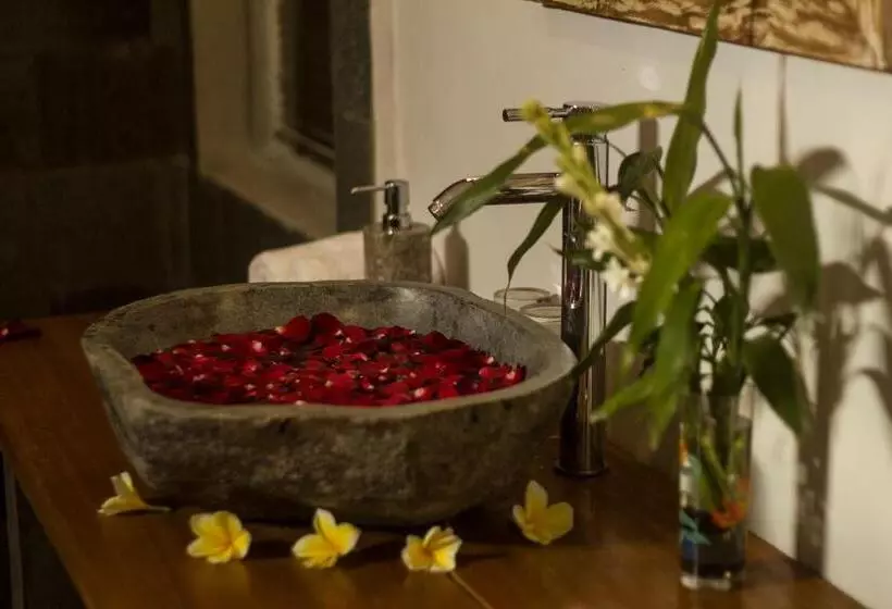 ベッドアンドブレックファースト Akusara House