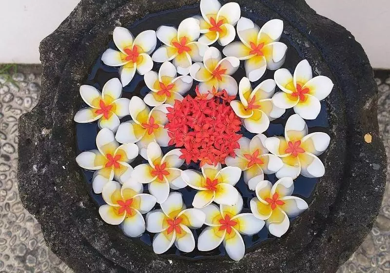 Aamiaismajoitus (B&B) Life In Amed Boutique