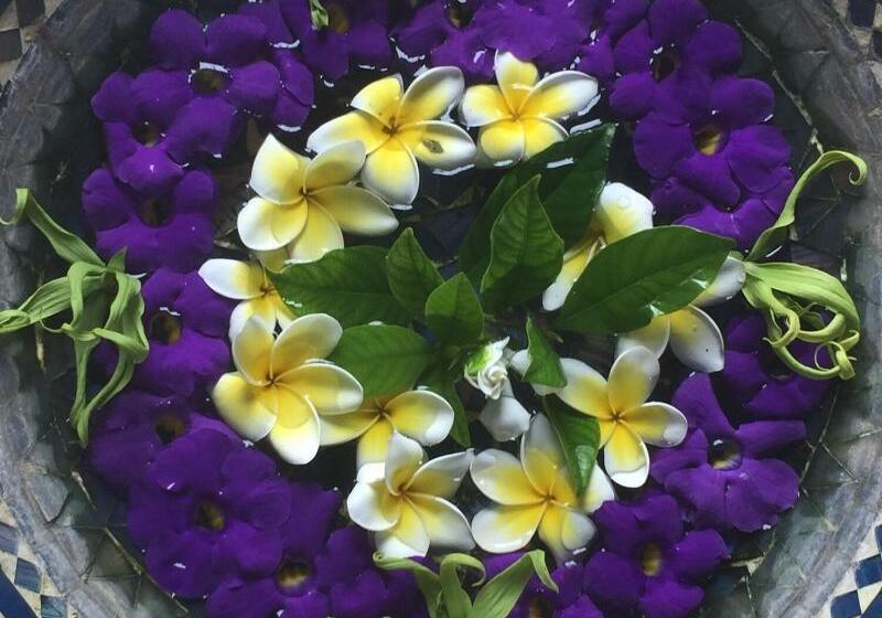 ベッドアンドブレックファースト Life In Amed Boutique