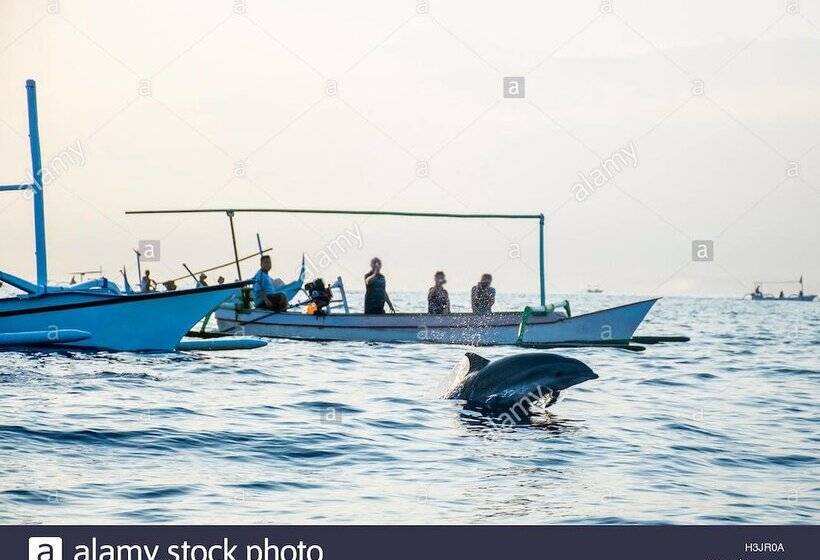 Bed and Breakfast Lotus Guesthouse Sudaji