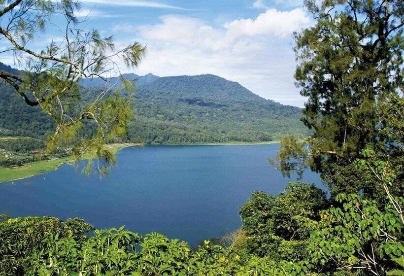 Bed and Breakfast Lotus Guesthouse Sudaji