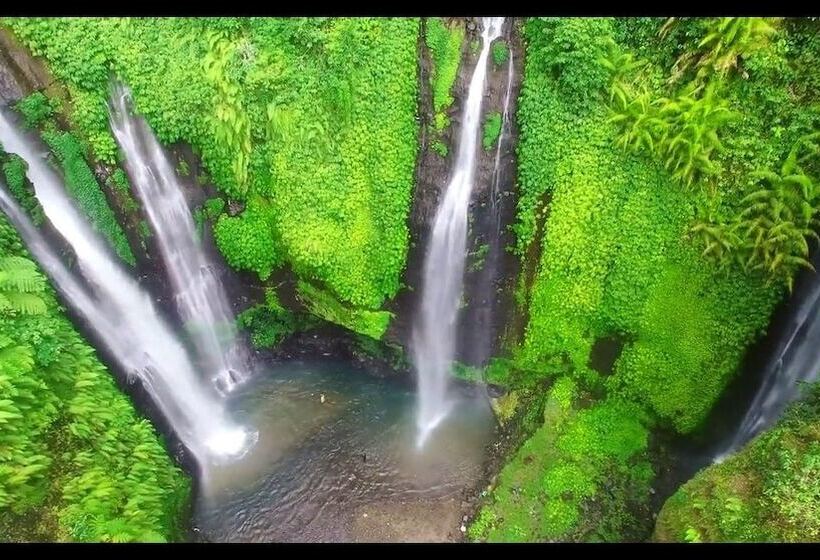 Bed and Breakfast Lotus Guesthouse Sudaji