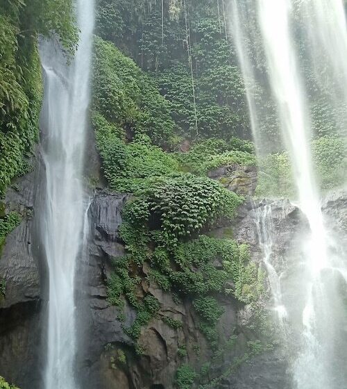 Bed and Breakfast Lotus Guesthouse Sudaji