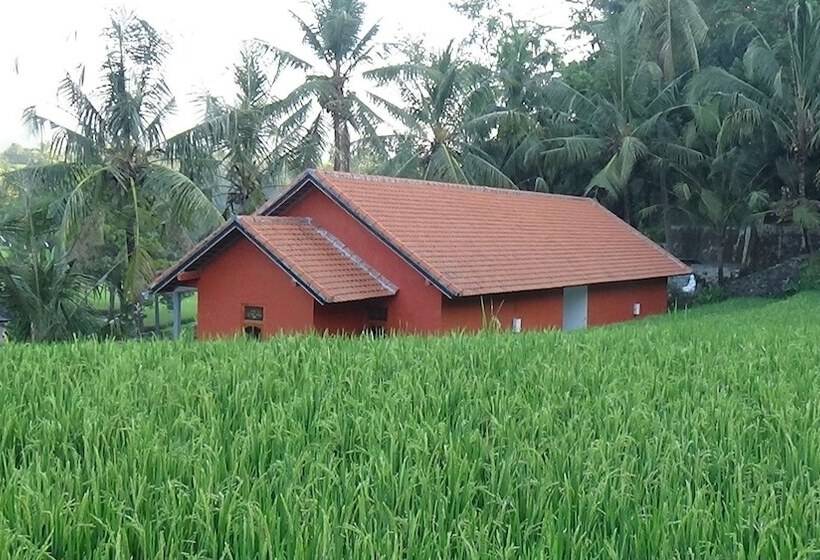 Bed and Breakfast Lotus Guesthouse Sudaji