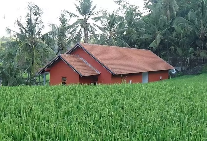 Aamiaismajoitus (B&B) Lotus Guesthouse Sudaji