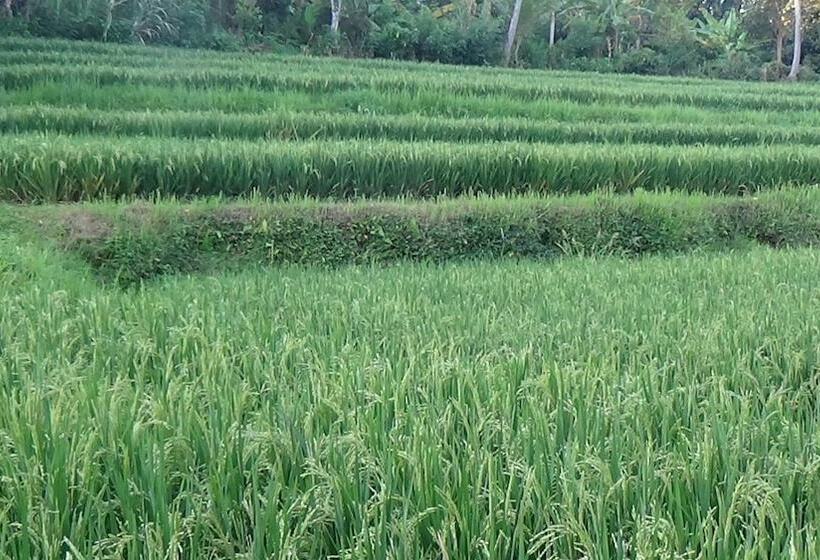 Bed and Breakfast Lotus Guesthouse Sudaji