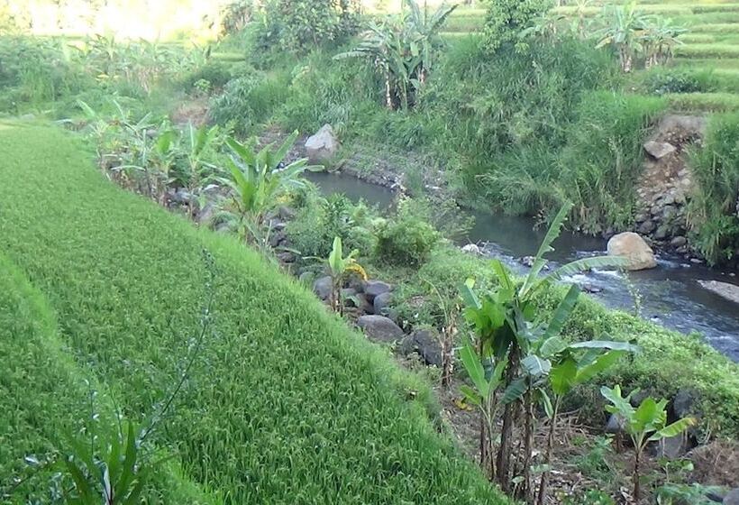 Bed and Breakfast Lotus Guesthouse Sudaji