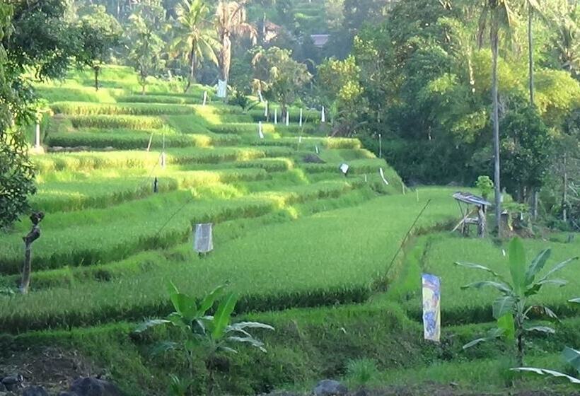 Bed and Breakfast Lotus Guesthouse Sudaji