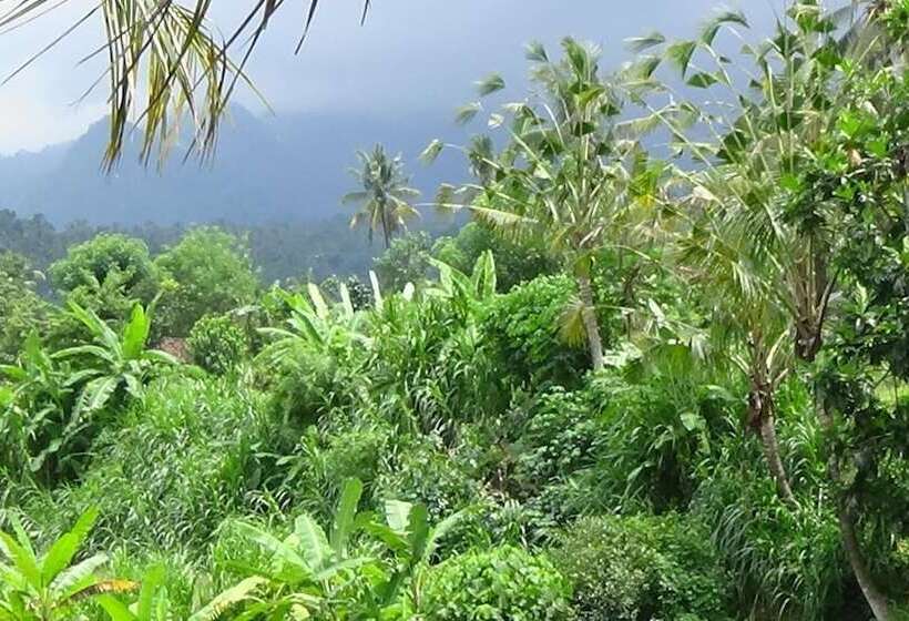 Bed and Breakfast Lotus Guesthouse Sudaji