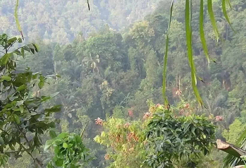 Aamiaismajoitus (B&B) Lotus Guesthouse Sudaji