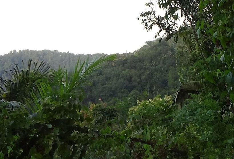 Bed and Breakfast Lotus Guesthouse Sudaji