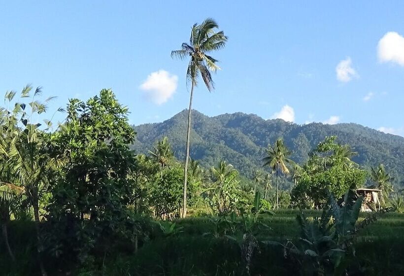 Bed and Breakfast Lotus Guesthouse Sudaji