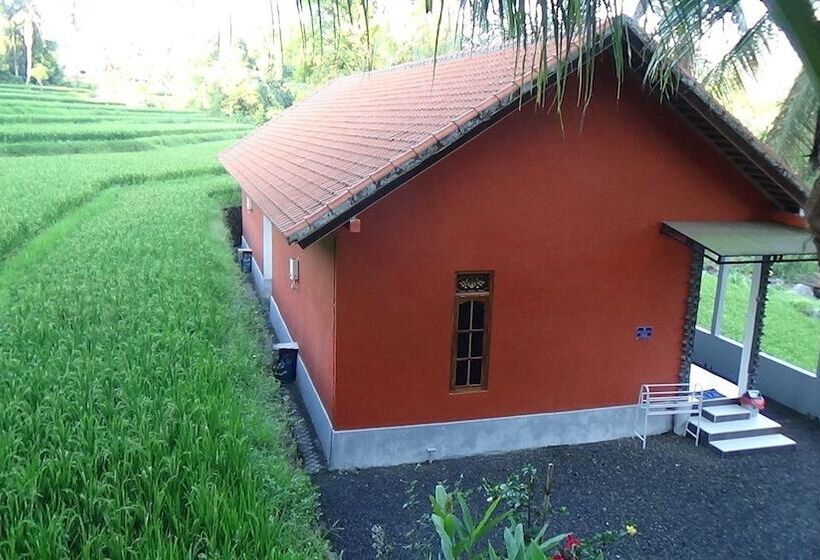 Bed and Breakfast Lotus Guesthouse Sudaji