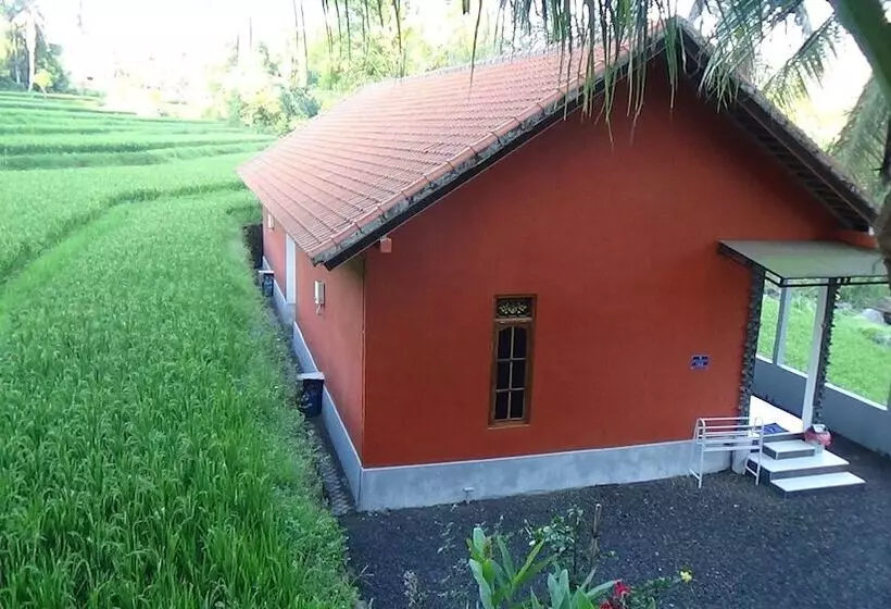 Aamiaismajoitus (B&B) Lotus Guesthouse Sudaji