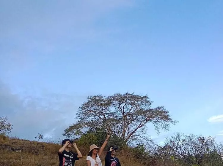 Aamiaismajoitus (B&B) Taman Menjangan Homestay By Snorkelingmenjangan