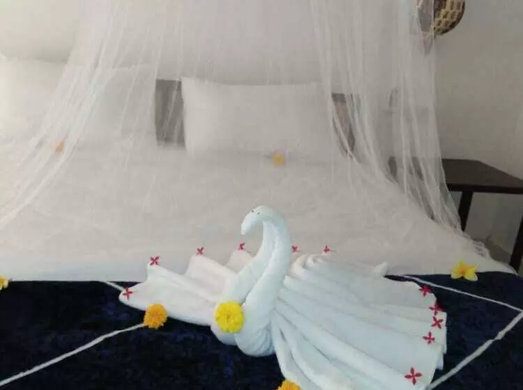 Aamiaismajoitus (B&B) Taman Menjangan Homestay By Snorkelingmenjangan