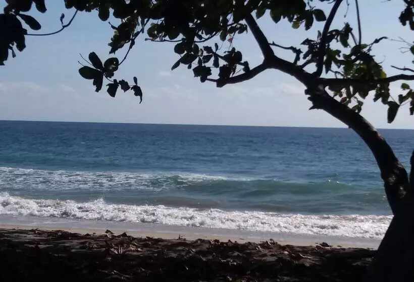 ベッドアンドブレックファースト Wera Beach Resort