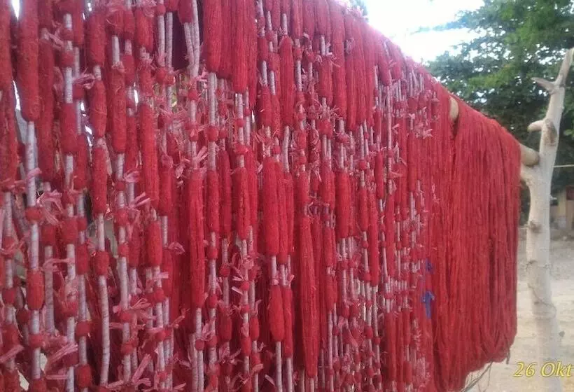 ベッドアンドブレックファースト Wera Beach Resort