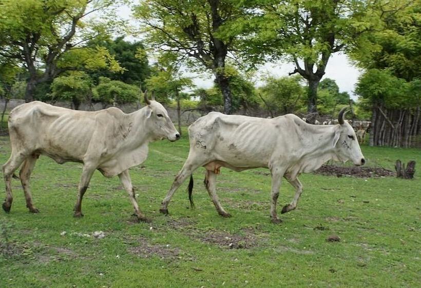 민박 Wera Beach Resort