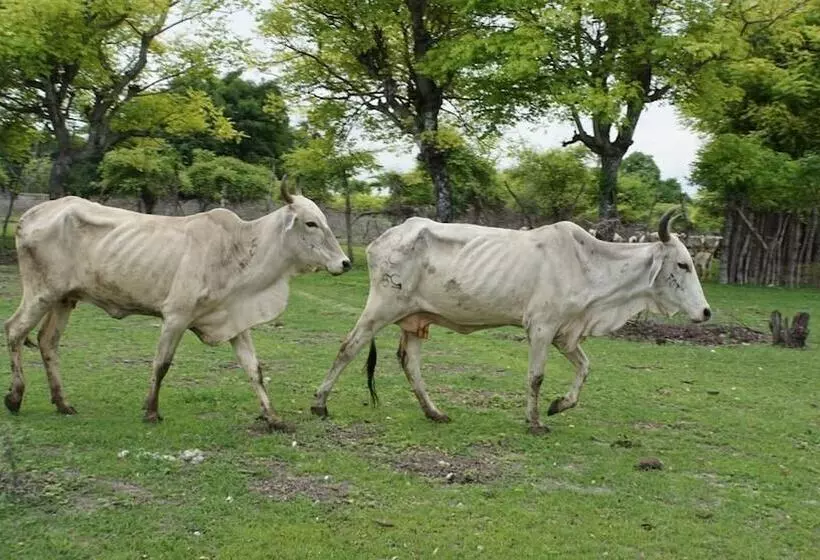 ベッドアンドブレックファースト Wera Beach Resort