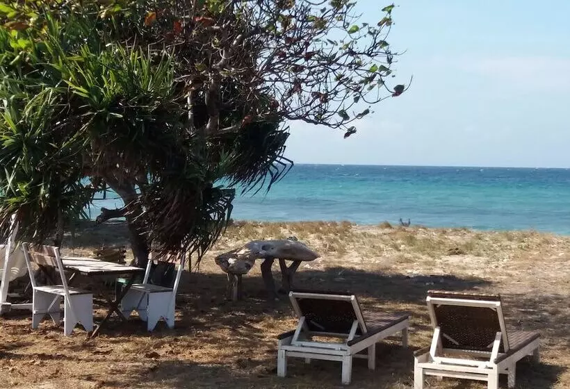 ベッドアンドブレックファースト Wera Beach Resort