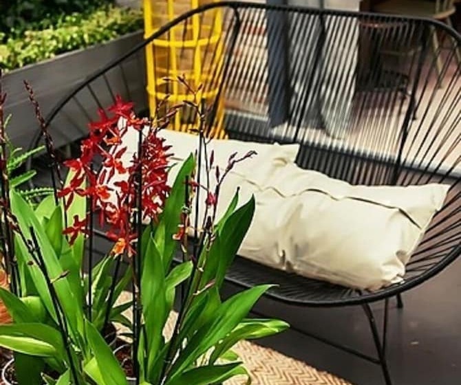 בית מלון כפרי Pushpak Park