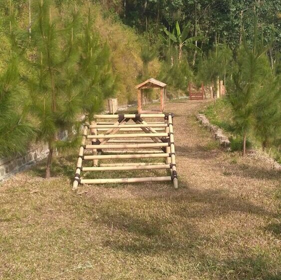 Pensiune Cipaniis Asri