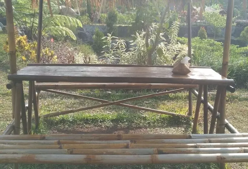 پانسیون Cipaniis Asri