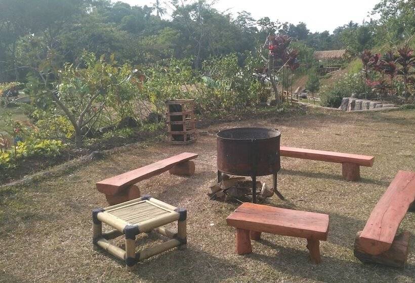 Pensiune Cipaniis Asri