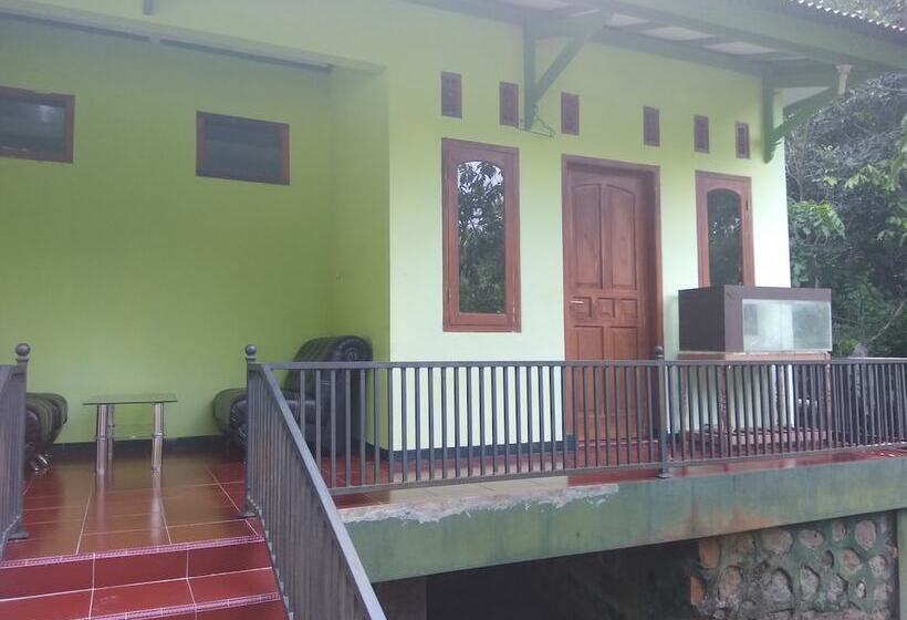 Pensiune Cipaniis Asri